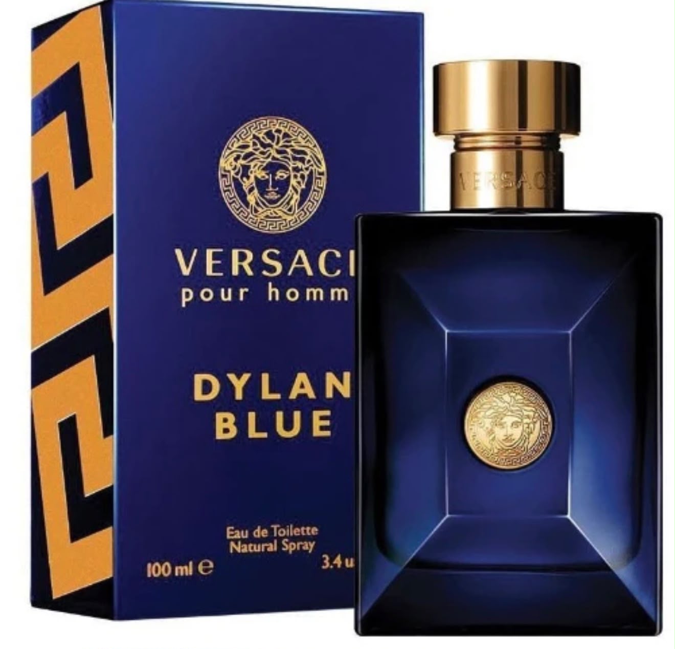 Dylan Blue Pour Homme Versace Eau de Toilette 100 ml Hombre